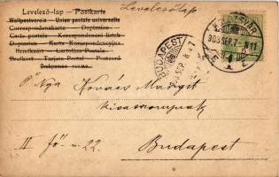 1903 Szentgyörgyi Lenke és Sziklay