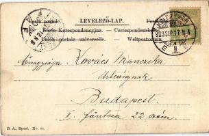 1903 B. Kertész Ella (fa)