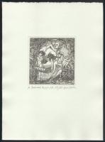 Orosz István (1951-): A Bolondok Hajója XIV. Rézkarc, papír, jelzett és számozott (67/150). 11,5x11,...