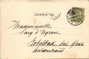 1903 Budapest II. Lukács fürdő (gyűrődés / crease)