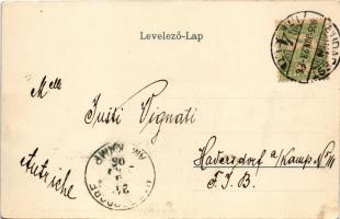 1905 Budapest I. Látkép a Gellérthegyről, Királyi vár, Tabán, Lánchíd (EK)