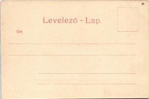 1905 Budapest I. Látkép a Gellérthegyről, Királyi vár, Tabán, Lánchíd, Erzsébet híd (EK)