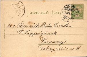 1905 Budapest I. Kilátás a Lánchídra. Taussig Arthur 3266. (EK)