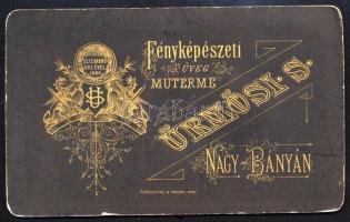 cca 1885 Oldalszakállas férfi portréja, vizitkártya Ürmösi Sándor nagybányai (Baia Mare) műterméből,...