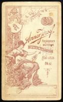 cca 1890 Elegáns fiatalember portréja, vizitkártya Anner József besztercebányai (Banská Bystrica) mű...