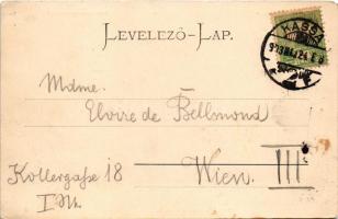 1903 Kassa, Kosice; Szálasi Alajos Andrássy kávéháza az Andrássy palotában, nyári helyiség, belső. S...