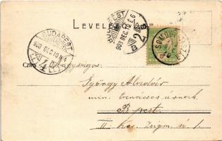 1903 Budapest I. Halászbástya. Serie N. 49. (fl)