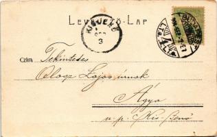 1903 Budapest VI. Andrássy úti fasor (Kodály körönd). Serie N. 59. (szakadás / tear)