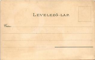 Budapest, Igazságügyi palota, József és Erzsébet körút, Vigadó, Kerepesi út, lóvasút. Ottmar Zieher ...