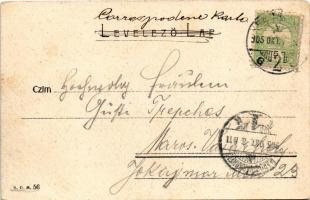 1905 Budapest II. Szent Lukács fürdő. S.D.M. 56. (fl)