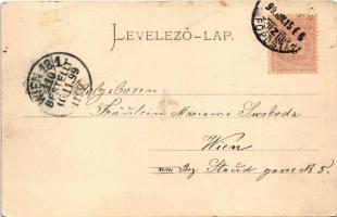 1899 Budapest I. Látkép a Gellérthegyről, Tabán, Királyi vár. Stengel &amp; Co. (kis szakadások ...