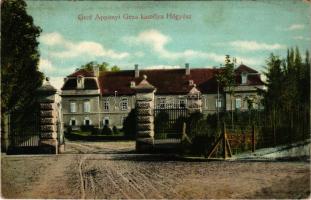 1914 Hőgyész, Gróf Apponyi Géza kastély + "ZAGREB - ÚJDOMBÓVÁR - BUDAPEST 406 B" vasúti mo...