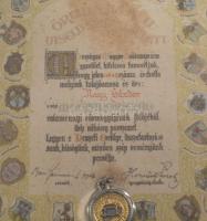 cca 1920-1930 Az Országos Magyar Hadimúzeum Egyesület által kiadott "Nemzeti Ereklye", Nag...