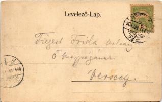 1904 Budapest I. Halászbástya, Mátyás lépcső. Taussig Arthur 3174. (EK)