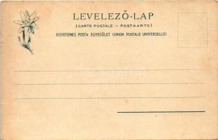 1905 Barlangliget, Höhlenhain, Tatranská Kotlina (Tátra, Magas Tátra, Vysoké Tatry); látkép. Feitzin...