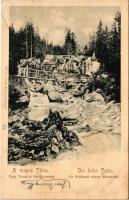 Tátra, Magas-Tátra, Vysoké Tatry; Nagy-Tarpataki felső vízesés, híd. Divald Károly 319. / Gross Kohl...