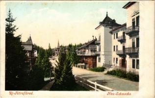 Újtátrafüred, Neu-Schmecks, Novy Smokovec (Magas-Tátra, Vysoké Tatry); villa, szálloda / villa, hote...
