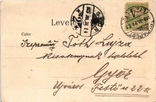 1903 Budapest I. Budai látkép a királyi palotával, vár, pesti rakpart. Art Nouveau, litho (EK)