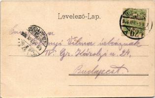 1906 Budapest XIII. Margitsziget, A vízesés és gyógyforrás (EK)