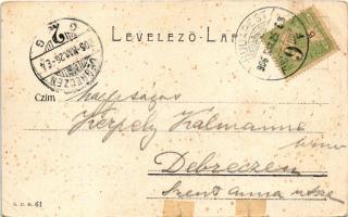 1906 Budapest I. Királyi vár, Várkert, gőzhajó. S.D.M. 61. (r)