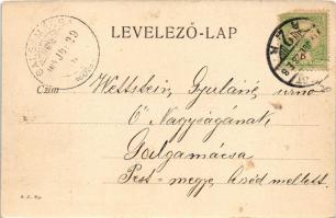 1904 Budapest XII. Jánoshegy, kilátás a Jánoshegyről (EK)