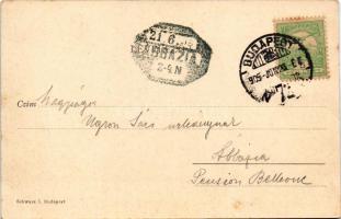 1905 Budapest V. Magyar Tudományos Akadémia, Széchenyi szobor. Schwarz I. kiadása (fa)