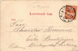 Budapest VII. Erzsébet körút, Magyar Zeneiskola, Gambrinus nagy bor- és sörcsarnok, Angol kávéház (C...