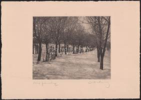 1929 Orphanides János (1876-1939): Jánoshegy. Fotoheliogravür, papír, jelzett, 16x20 cm