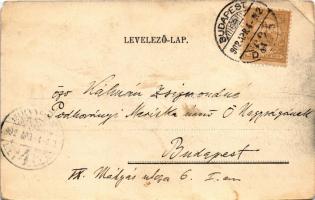 1902 Budapest I. Víziváros, Duna folyam látképe, Szerdahelyi fényképész műterme (Albrecht út) (EM)