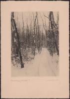 1931 Orphanides János (1876-1939): Budakeszi erdő. Fotoheliogravür, papír, jelzett, 24x17,5 cm