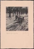 1929 Orphanides János (1876-1939): Jánoshegy. Fotoheliogravür, papír, jelzett, 18x17 cm