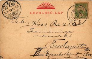 1904 Budapest V. Országház, Parlament. Franck kávépótló reklám (fl)