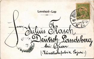 1901 Budapest V. Magyar Tudományos Akadémia, Széchenyi szobor (EB)