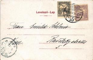 1900 Budapest, Lánchíd (gyűrődés / crease)