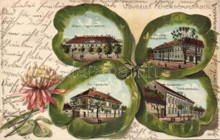 Fehértemplom schools Emb. litho