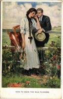 1913 "How to know the wild flowers" Lady art postcard, romantic couple with horse. M. Munk...