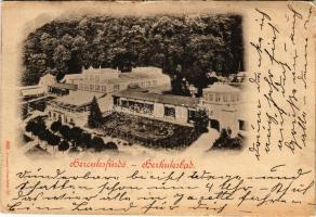 1899 Herkulesfürdő, Baile Herculane; Kurhaus Rudolfshof / Gyógyterem, Rezső udvar / general view, sp...