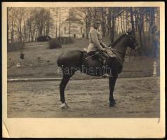 cca 1910 Habsburg-Tescheni Frigyes főherceg katonai egyenruhában, lóháton, fotó, jelzés nélkül, kis ...