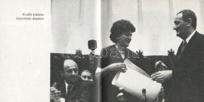 Harminckét év a Zrínyi Nyomda élén. Bolgár Imre, a Zrínyi Nyomda vezérigazgatója tiszteletére írt há...