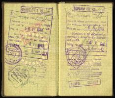 1943 Bp., a Magyar Királyság által kiállított fényképes útlevél, csehszlovák vízumokkal, kissé visel...