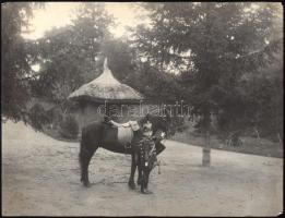 cca 1900-1910 Habsburg-Tescheni Albert Ferenc főherceg, Frigyes főherceg fia huszáregyenruhában, pón...