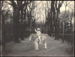 cca 1900-1910 Habsburg-Tescheni Albert Ferenc főherceg, Frigyes főherceg fia huszáregyenruhában, pón...