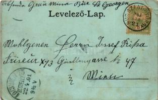 1901 Búrszentgyörgy, Bur-Sankt-Georg, Borsky Sväty Jur; Kastély, M. kir. állami elemi iskola este / ...