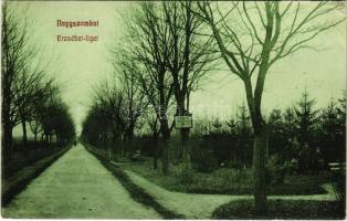 1907 Nagyszombat, Tyrnau, Trnava; Erzsébet liget. Winter Zsigmond kiadása / park (EK)