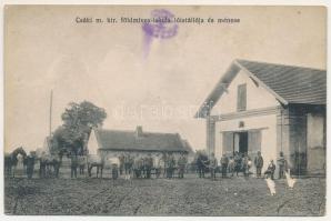Csák, Csákova, Ciacova, Tschakowa; M. kir. földmíves iskola lóistállója és ménese. Grádl Péter kiadá...