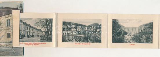 1910 Oravicabánya, Oravita; Kincstári épületek a Graezenstein sétánnyal. leporellólap, belül az oszt...