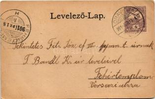 1901 Oravicabánya, Oravita; látkép / view (EK)
