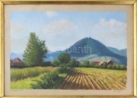 Olvashatatlan jelzéssel: Nagybányai táj, 1969. Pasztell, papír, üvegezett fakeretben, 32×48 cm