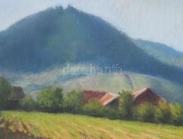Olvashatatlan jelzéssel: Nagybányai táj, 1969. Pasztell, papír, üvegezett fakeretben, 32×48 cm