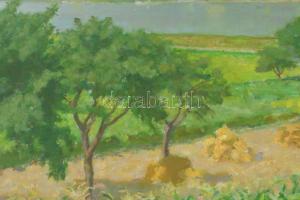 Vidovszky Béla (1883-1973): Dunakanyar. Olaj, vászon, jelzett. Hátoldalán Képcsarnok Vállalat címkéj...